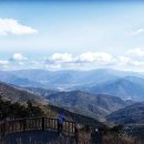 고산터널 등산로 이미지