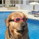 몰드짐 | 고막천공 수친자의 이어짐 이어몰드 3개월 착용 후기