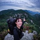 경수봉민박 티스토리