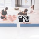 주식회사 헤세드 이미지