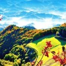 은하수 관광농원 이미지