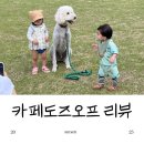 원주 외곽 계곡과 강아지가 있는 대형 힐링카페, 도즈오프 솔직후기
