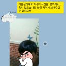 케이앤리 이미지