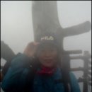 2005년 11월, 제주여행 / 한라산 등반길 이미지