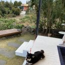 다다목장 이미지