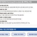 815솔루션