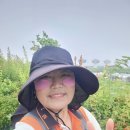 팜코 | 상상업 자외선차단 99.6% 썬패치 후기! 골프패치로 딱 좋은 얼굴햇빛가리개