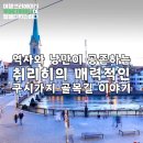 역사와 낭만이 공존하는 취리히의 매력적인 구시가지 골목길 이야기