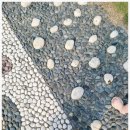 무한천어죽 이미지