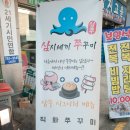 삼시세끼 쭈꾸미 이미지