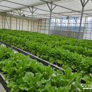 유선농장 이미지