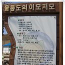 울릉도드림 이미지