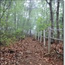 대부도 관광안내소 이미지