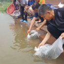 황쏘가리 이미지