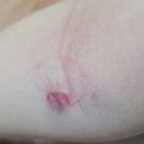 시원한이비인후과의원 이미지