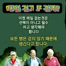양신재동(養身在動),양심재정(養心在靜) 이미지