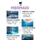 세종프리다이빙 이미지