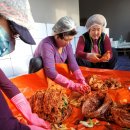 서광리-11 이미지