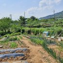 신용동 이미지