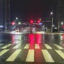 365편한내과의원 이미지