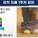 토요일 저녁8시,나를 깨우는 시간 리치오름 1주차 강의후기