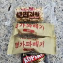 한국장애인문화인쇄협회 | 여행 346. 근대기독교문화유산 투어(독립문, 독립관, 서재필동상)(결과 &amp; 후기)