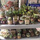 벽봉마을 이미지