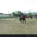 세라목장 이미지