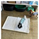 다산 애견훈련소 이미지