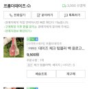 프롬더데이즈 이미지