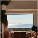 애견스케치 이미지