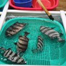 통영중앙전통시장 이미지