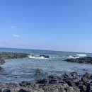 부촌목장 이미지