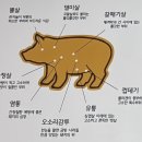 [중랑] 돼지부속 전문점 중랑역 ‘부속시대’ 후기