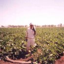 하나농장B 이미지