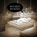 SBS노동조합 이미지