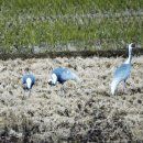 평화누리길 이미지