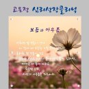 성베드로 한방병원 앞 횡단보도 | 심리상담 심리상담센터보듬과아우름 서울 양천구 목동 가격 주소 주차 위치 후기 추천