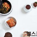 김치, 된장·고추장·간장, 젓갈…대한민국 대표 발효식품을 건강검진해봤다 이미지