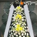 따봉꽃배달