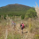 도래재로 이미지