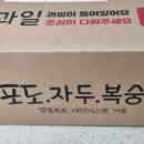 제철과일 영동 캠벨포도 원뽀농원