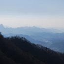 고산이랑 이미지