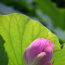 서동공원 이미지