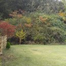 경기도 양평군 조현초등학교 이미지