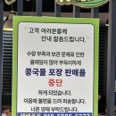 용인 콩국수 맛집 추천 생방송투데이 콩게미(웨이팅 후기)