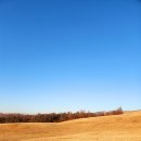 세원목장 이미지