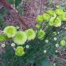 아담농장 이미지