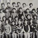 서울영서초등학교 이미지