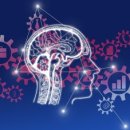 리뷰안경 이미지